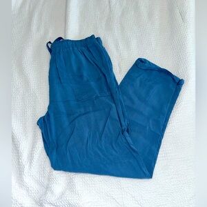 Blue slouchy pants NWOT